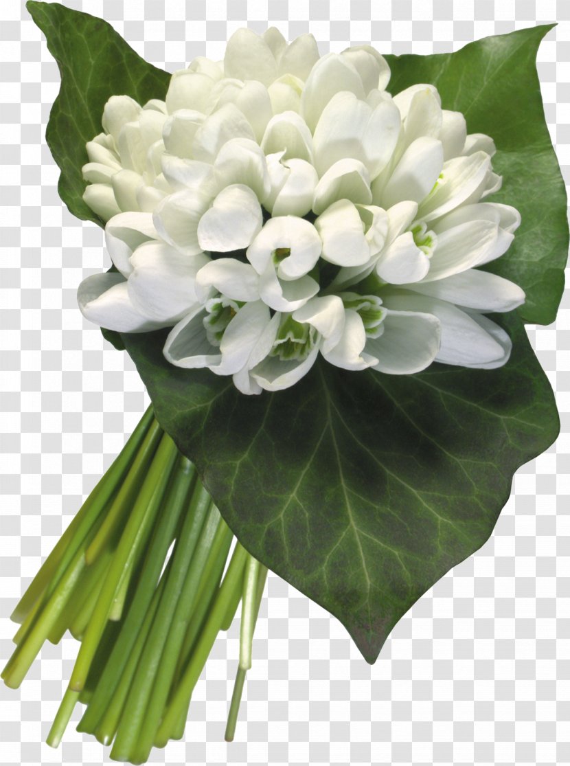 International Women's Day March 8 Holiday Ansichtkaart Flower Bouquet - Romance Transparent PNG