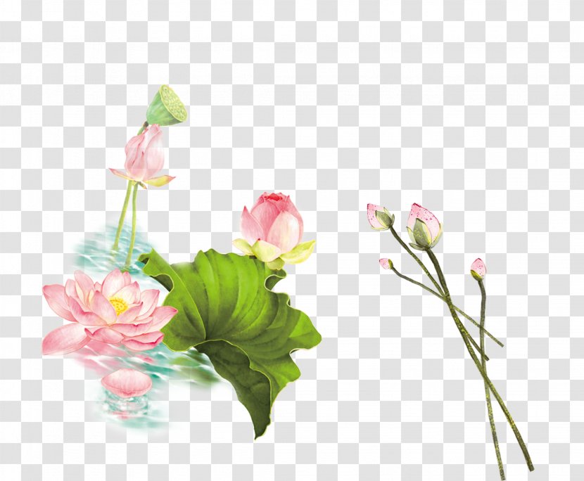 Floral Design Nelumbo Nucifera - Flower Bouquet - Hand Painted Lotus Transparent PNG