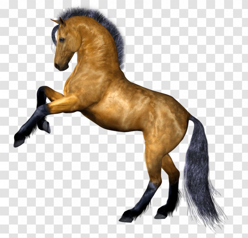 Horse Clip Art - Horses - Image Transparent PNG