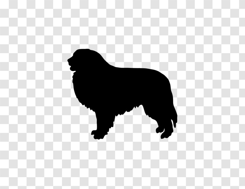 Newfoundland Dog Great Pyrenees Pyrenean Mastiff Breed Hovawart - Silhouette Transparent PNG