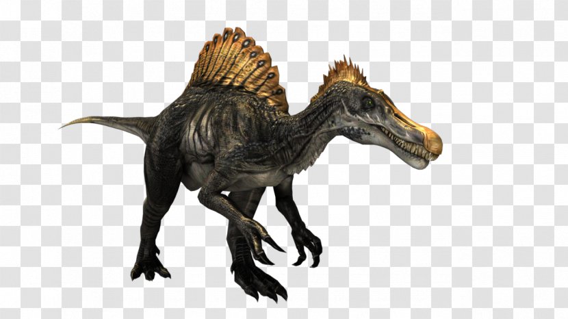 Tyrannosaurus Velociraptor Terrestrial Animal Legendary Creature - Mythical - Spinosaurus Transparent PNG