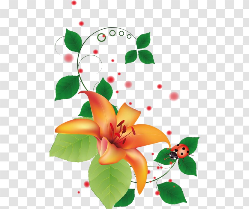 Desktop Wallpaper Flower Color Clip Art - Pollinator Transparent PNG