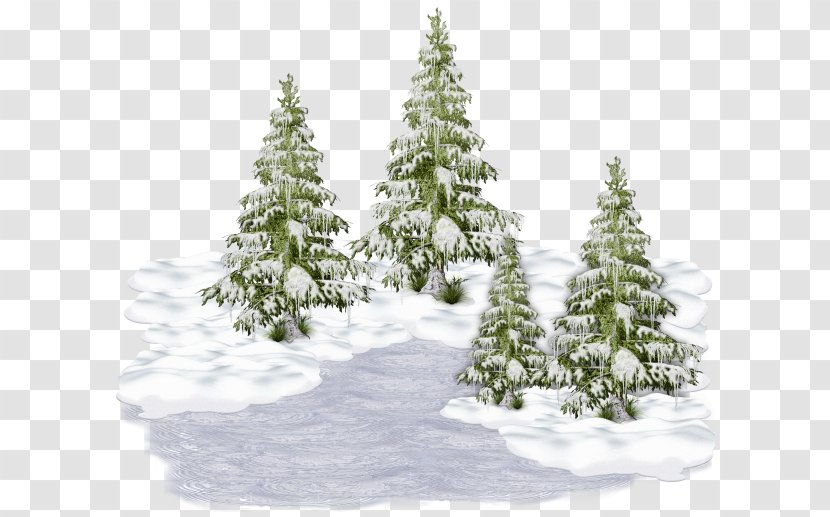 Christmas Tree Winter Holiday New Year - Fir Transparent PNG