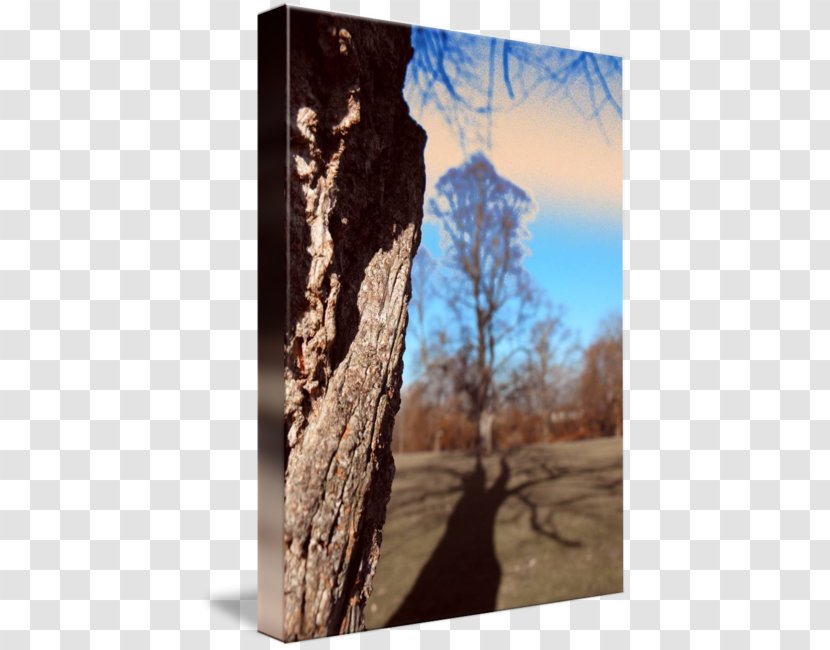 Imagekind Oil Painting Art Collage - Palette - Tree With Shadow Transparent PNG