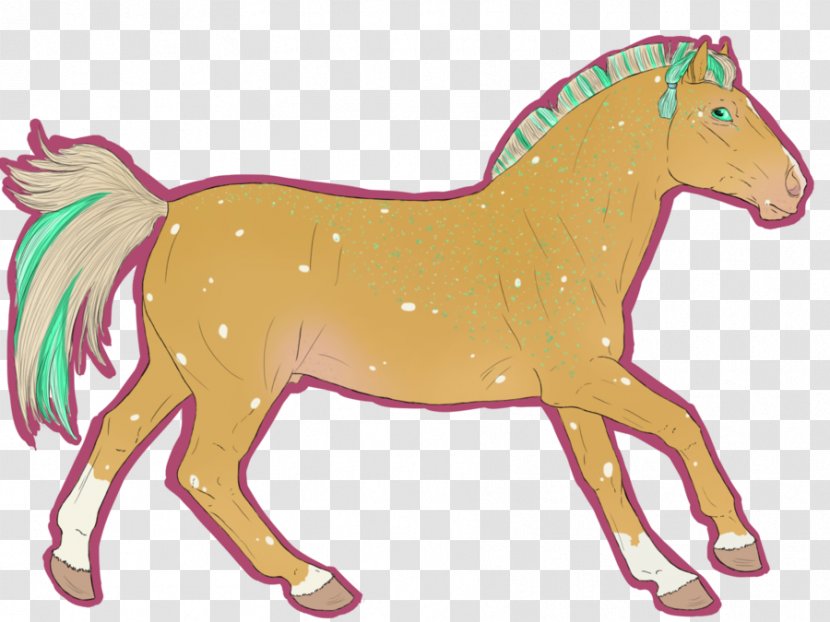 Mustang Foal Mare Halter Stallion Transparent PNG
