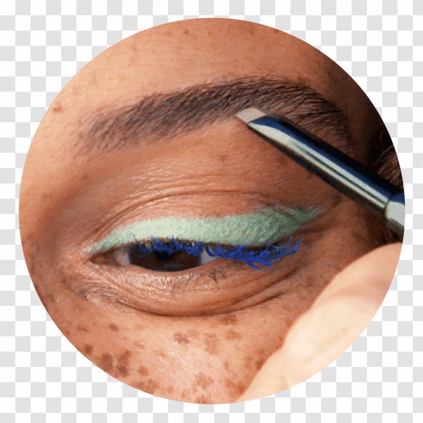 Eyebrow Face Eyelash Eye Shadow - Frame - Brow Transparent PNG