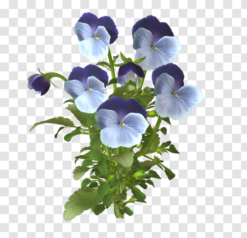 Pansy Animaatio Blog - Image Sharing - De Transparent PNG