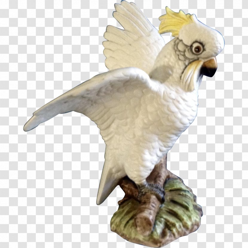 Bird Of Prey Animal Figurine Beak - Cockatoo Transparent PNG
