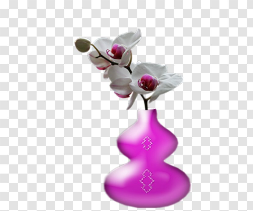 Petal Flower Bouquet Vase Transparent PNG