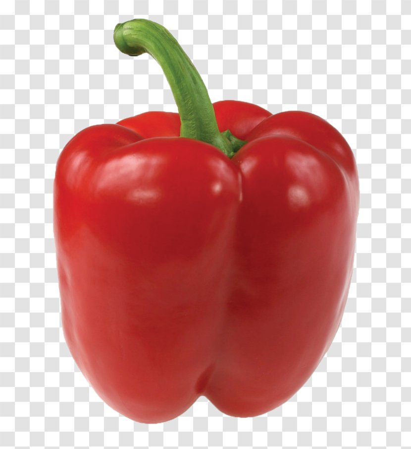 Habanero Bell Pepper Tabasco Cayenne Chili - Cultivar - Vegetable Transparent PNG