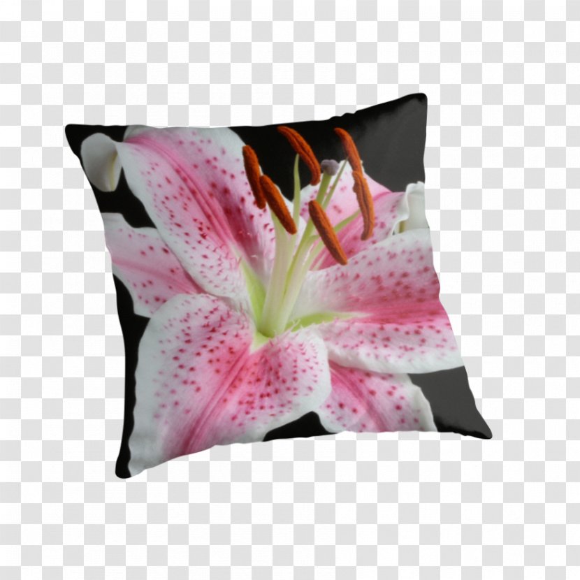 Throw Pillows Cushion Lily 'Stargazer' Lilium - Pillow Transparent PNG