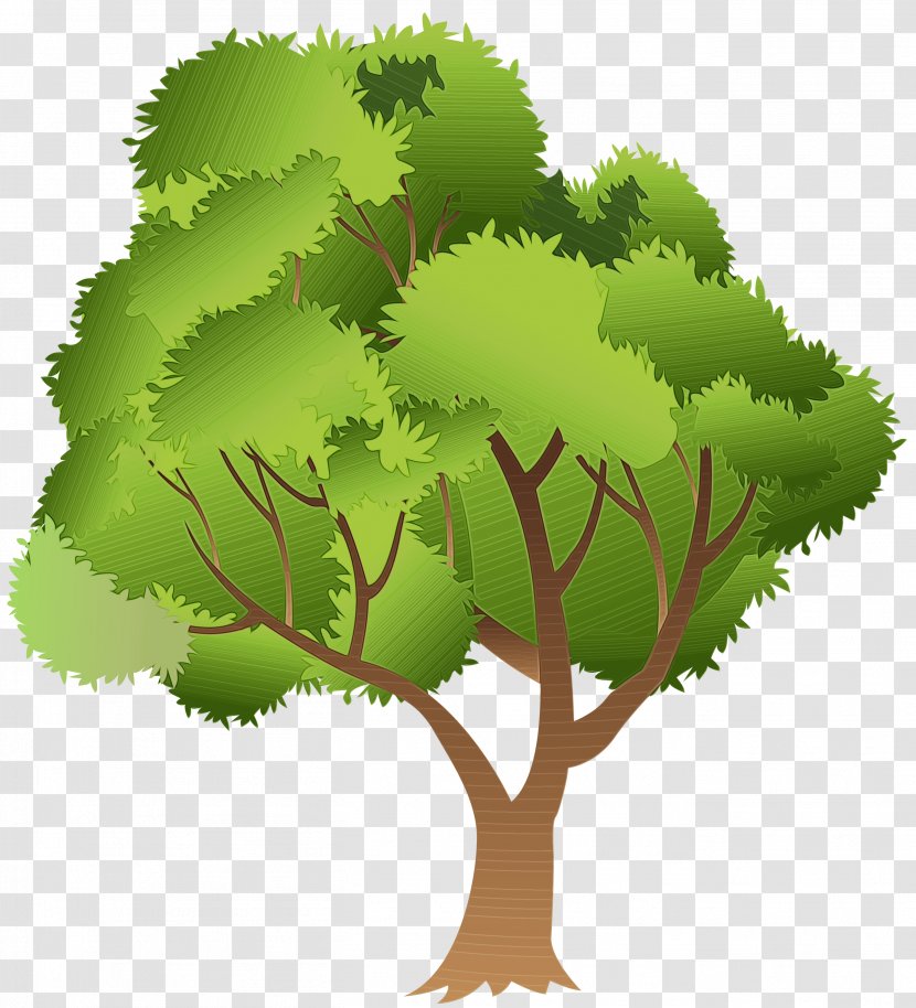 Branch Plant Stem Vegetation Leaf Plants - Tree - Herb Plane Transparent PNG