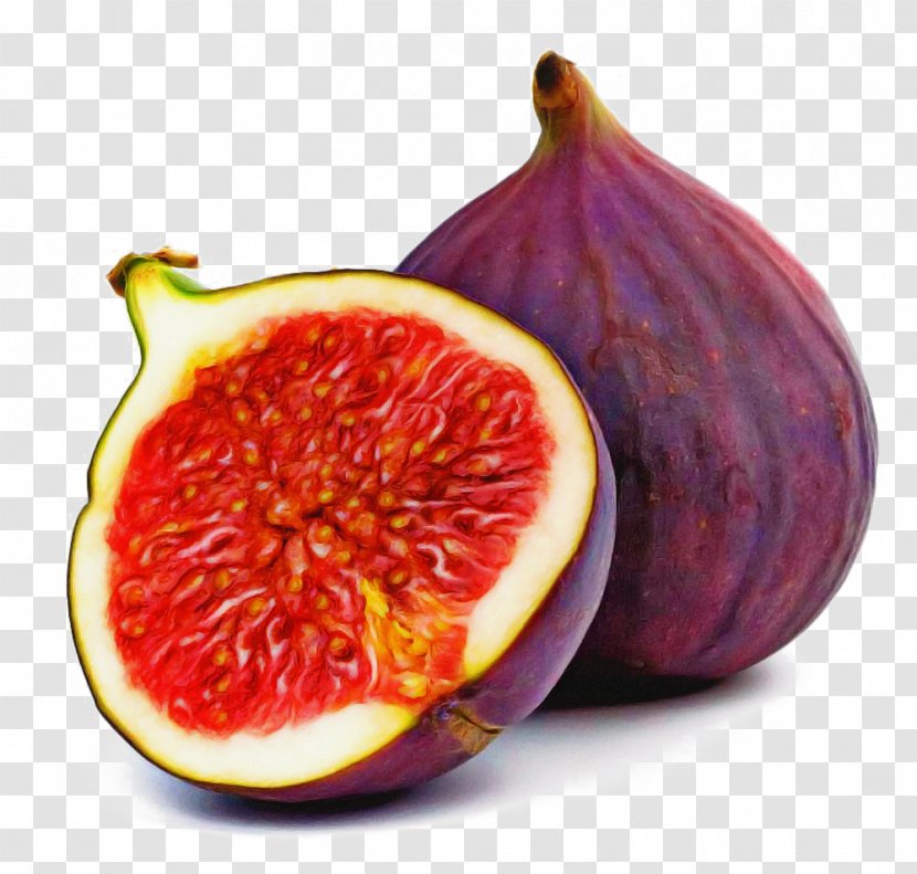 Fig Tree - Superfruit Ingredient Transparent PNG