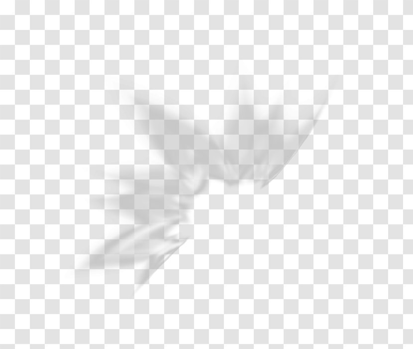 Petal Desktop Wallpaper White Leaf Font - Black And - Sloe Transparent PNG