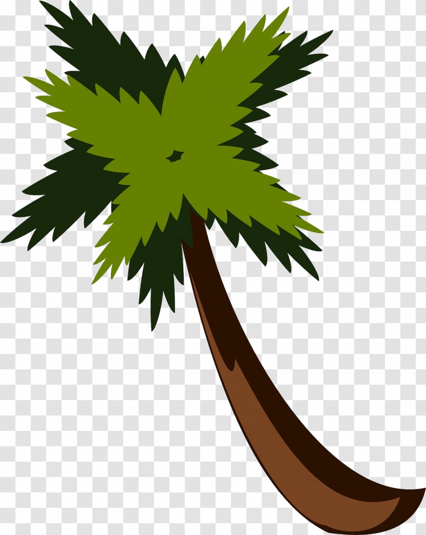 Arecaceae Clip Art - Lush Coconut Trees Transparent PNG