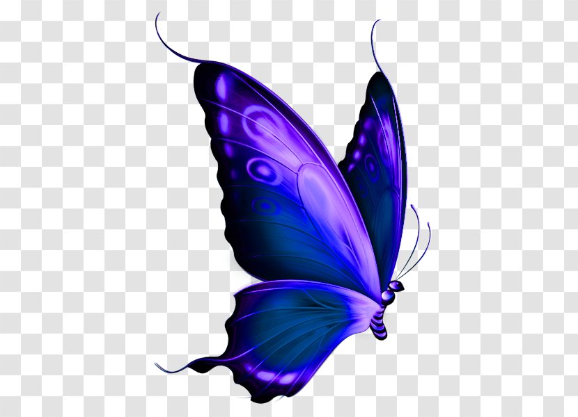 Butterfly Red Greta Oto Clip Art - Purple Transparent PNG