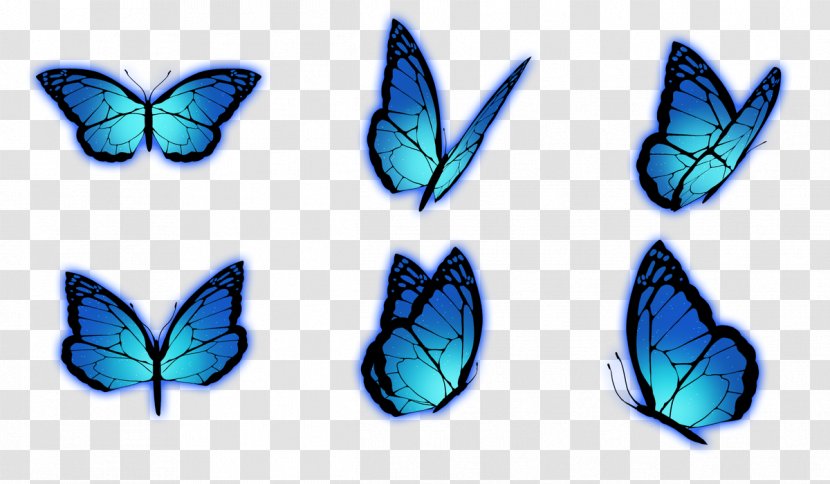 Brush-footed Butterflies No Yo Ta Wo - Wing - Gal Transparent PNG