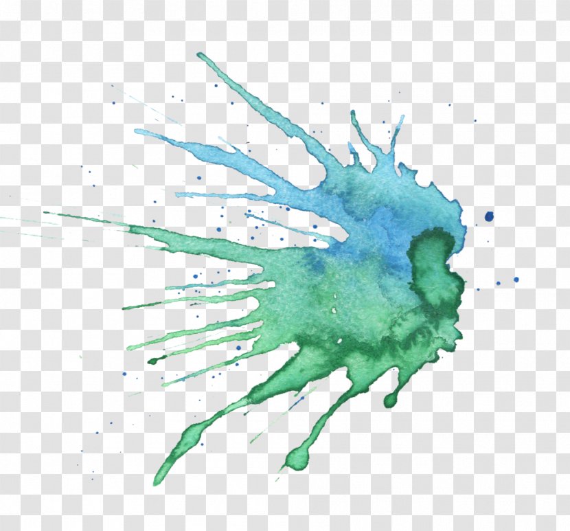 Illustration Graphics Turquoise Invertebrate - Wing - Organism Transparent PNG