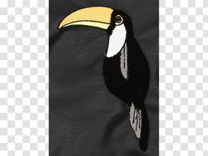 Toucan Raglan Sleeve Jacket Mini Rodini Sweater Transparent PNG