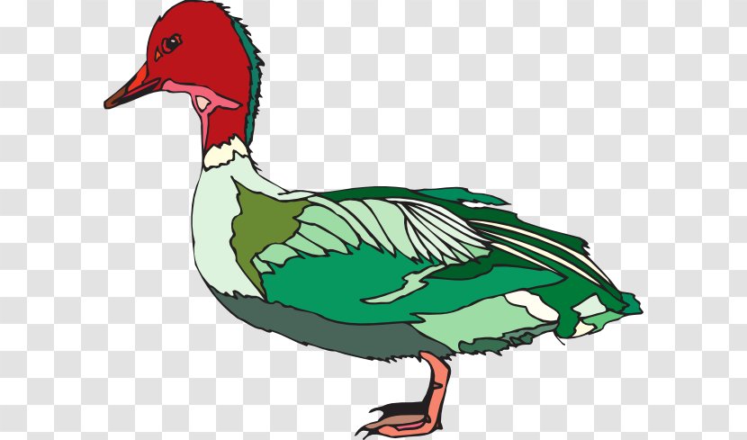 Duck Green Red Clip Art - Cliparts Transparent PNG