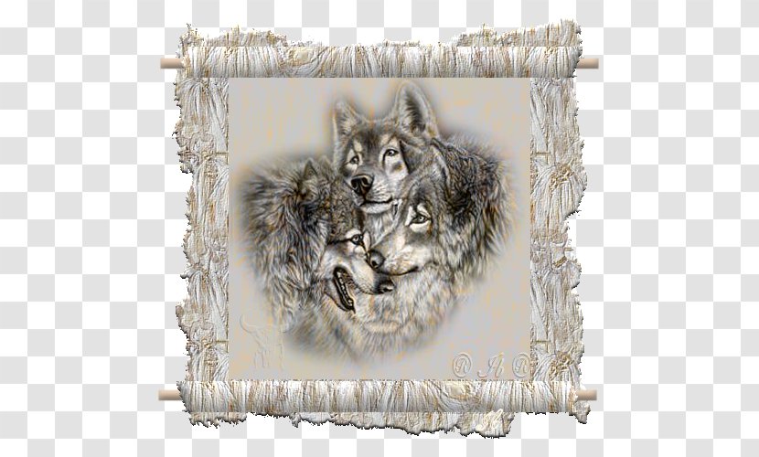 Gray Wolf Drawing Paper Painting - Picture Frame - Frem Transparent PNG