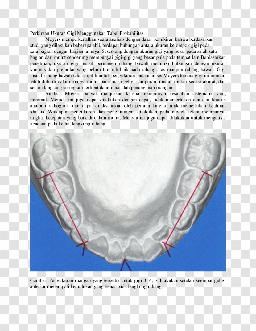Jaw Orthodontics Probability Medicine Dentistry - Doc Transparent PNG