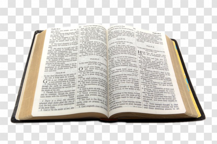 Bible Clip Art - Book - BIBLIA Transparent PNG