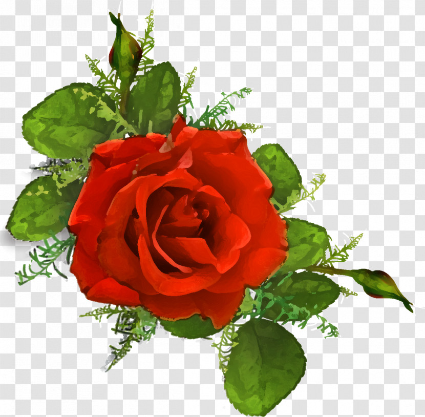 One Flower One Rose Valentines Day Transparent PNG