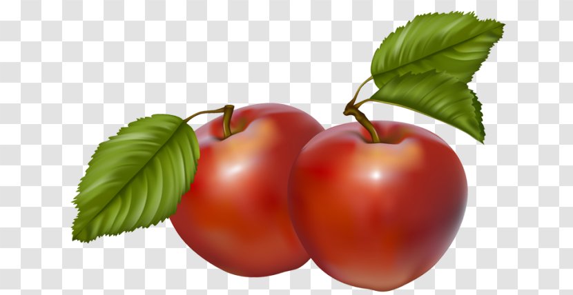 Cider Apple Download Clip Art - Tomato - Cliparts Transparent PNG