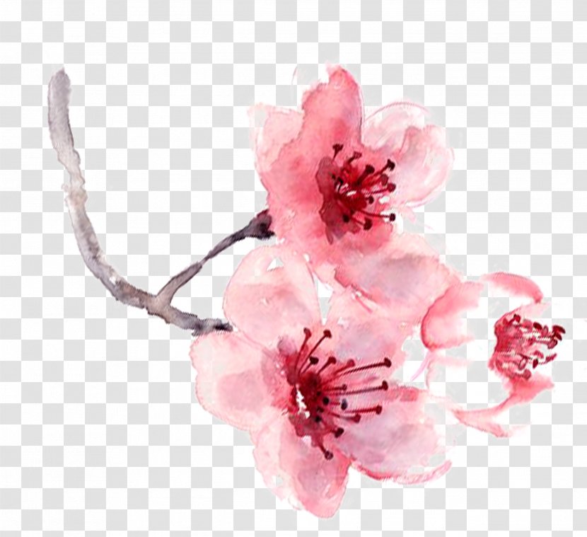 Watercolor Painting Pink - Floral Design - Flowers Transparent PNG