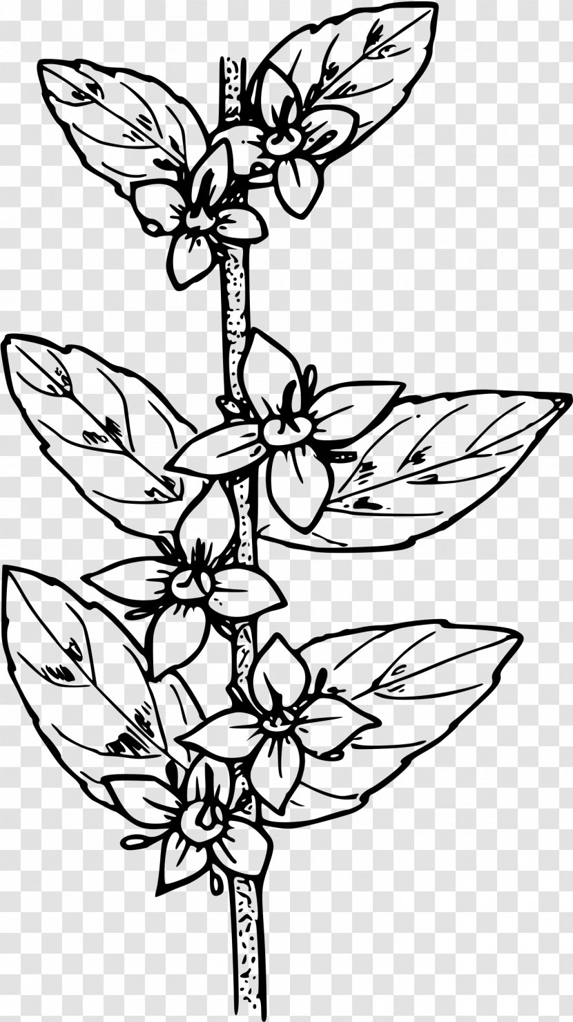 Desktop Wallpaper Clip Art - Flowering Plant - Fictional Character Transparent PNG