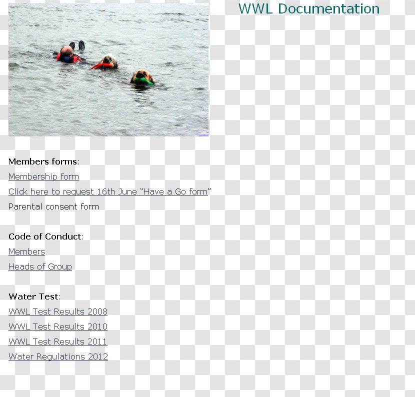 Water Transportation Resources Brand Transparent PNG