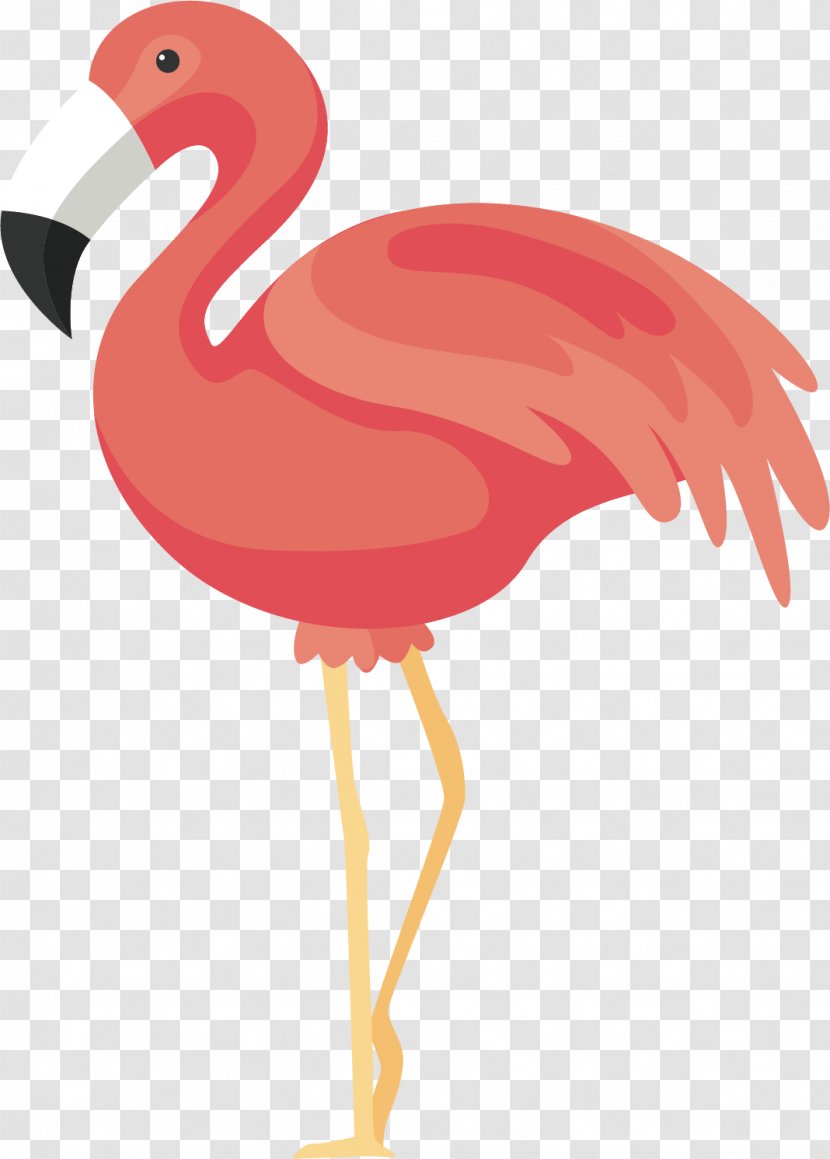 Flamingos Bird Icon - Wing - Pink Red-crowned Crane Transparent PNG