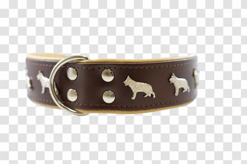 Belt Dog Collar Buckle Strap Transparent PNG
