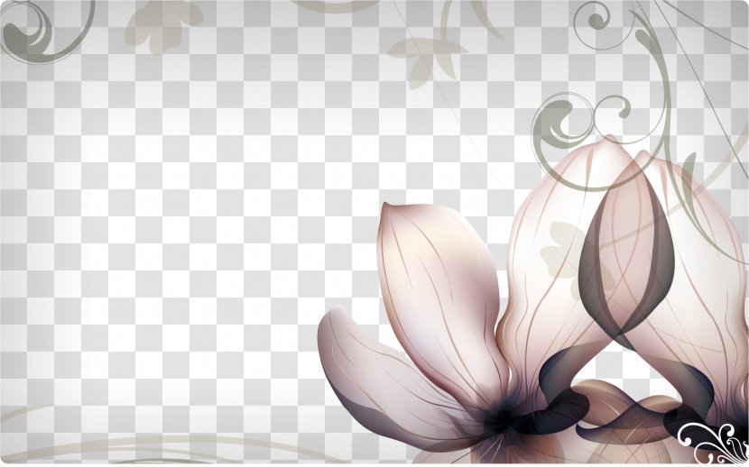 Flower Photography Desktop Wallpaper Petal - Flowering Plant - Flowers Elegant Background Transparent PNG
