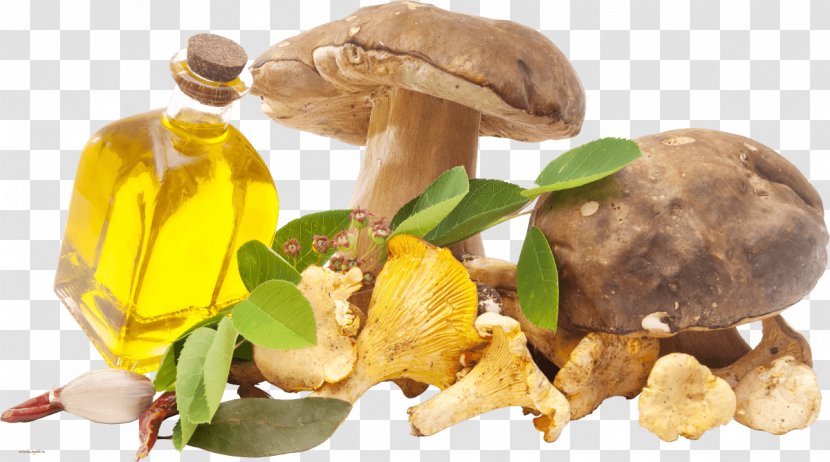 Cream Pasta Food Rassolnik Oil - Mushroom Transparent PNG