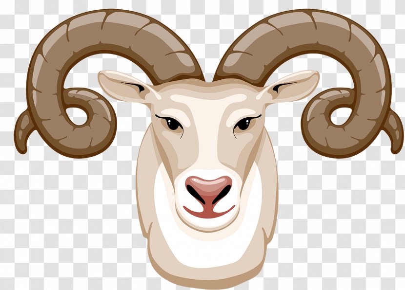 Sheep Goat Vector Graphics Clip Art - Goats Transparent PNG
