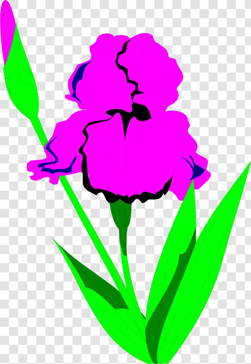 Drawing Clip Art - Plant Stem - Flower Illustration Transparent PNG