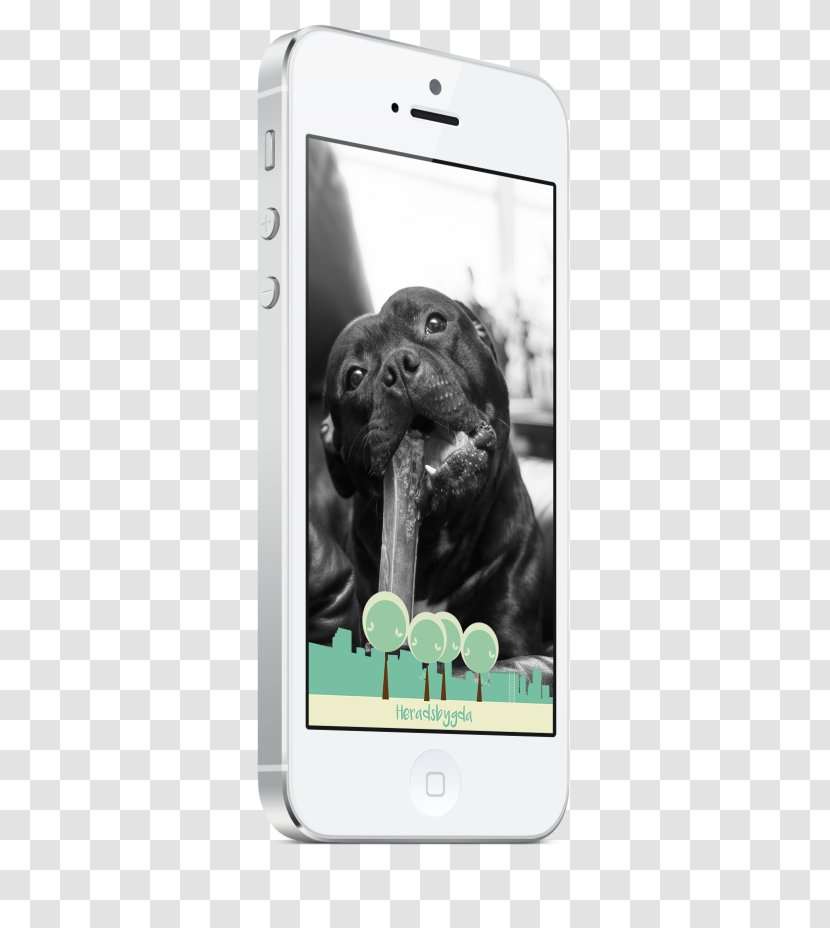 Labrador Retriever Smartphone Puppy Dog Breed Mobile Phone Accessories - Electronics Transparent PNG