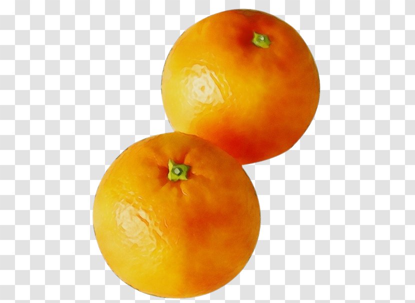 Orange - Mandarin Seedless Fruit Transparent PNG