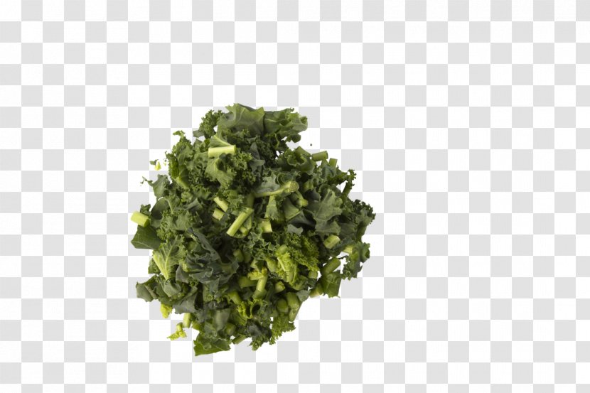 Leaf Vegetable Herb - Vegetarian Food - Kale Transparent PNG