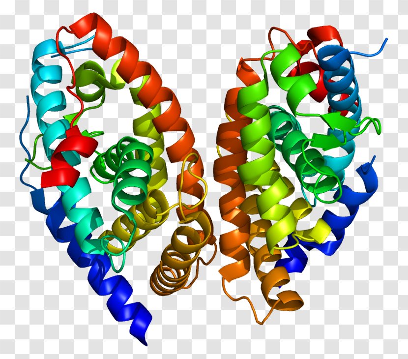 Retinoic Acid Receptor Alpha Nuclear - Body Jewelry - Hormone Transparent PNG