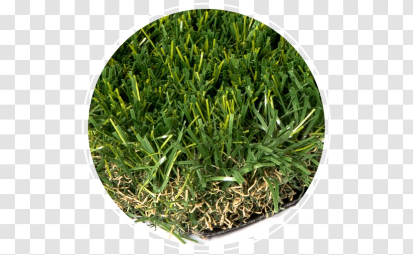 Artificial Turf Lawn Mowers Synthetic Fiber - Weight Transparent PNG