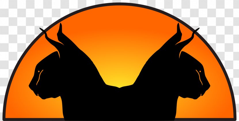 Orange Background - Yellow - Animation Wildlife Transparent PNG