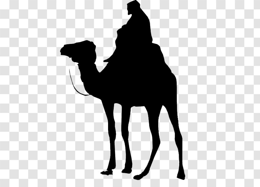 Dromedary Battle Of Karbala Pack Animal Siffin Desert - Camel Transparent PNG