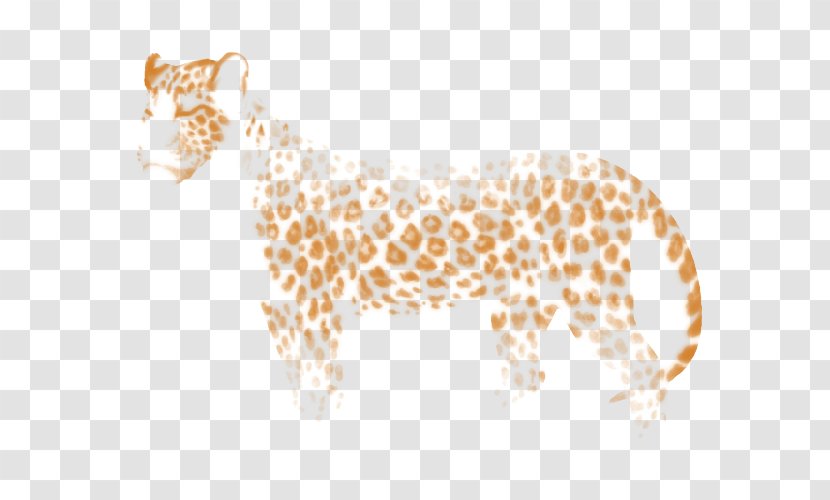 Leopard Lion Felidae Giraffe - Macos Transparent PNG