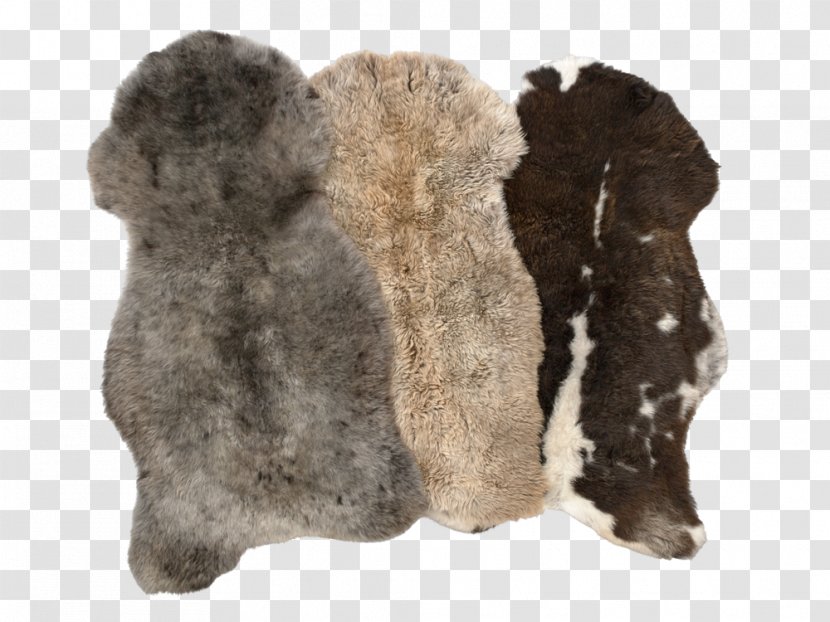 Fur Snout - Sheepskin Transparent PNG