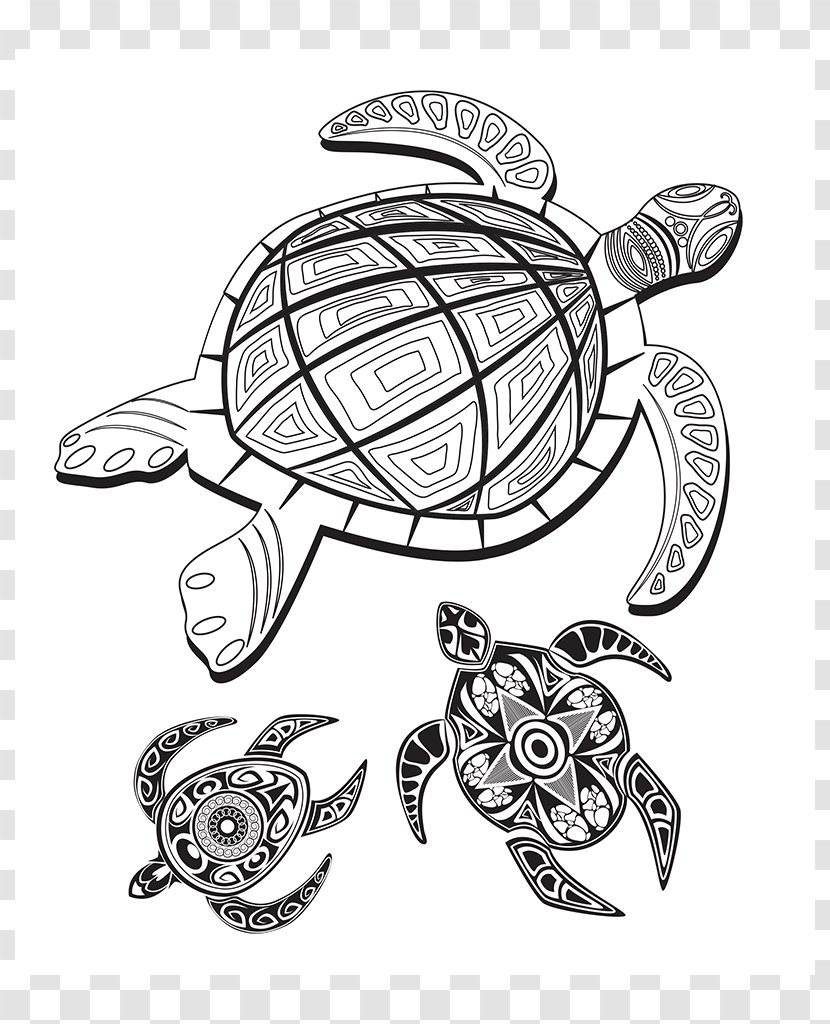 Tortoise Drawing Line Art Coloring Book Sketch - Artwork - Creative Break Design Transparent PNG
