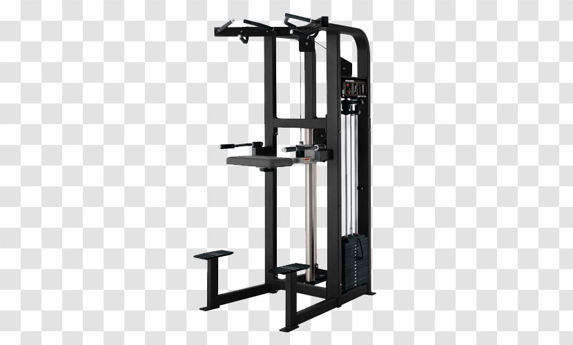 Warwick Workout (Gym) Dip Life Fitness Strength Training Centre - Gym - Hoist Equipment Transparent PNG