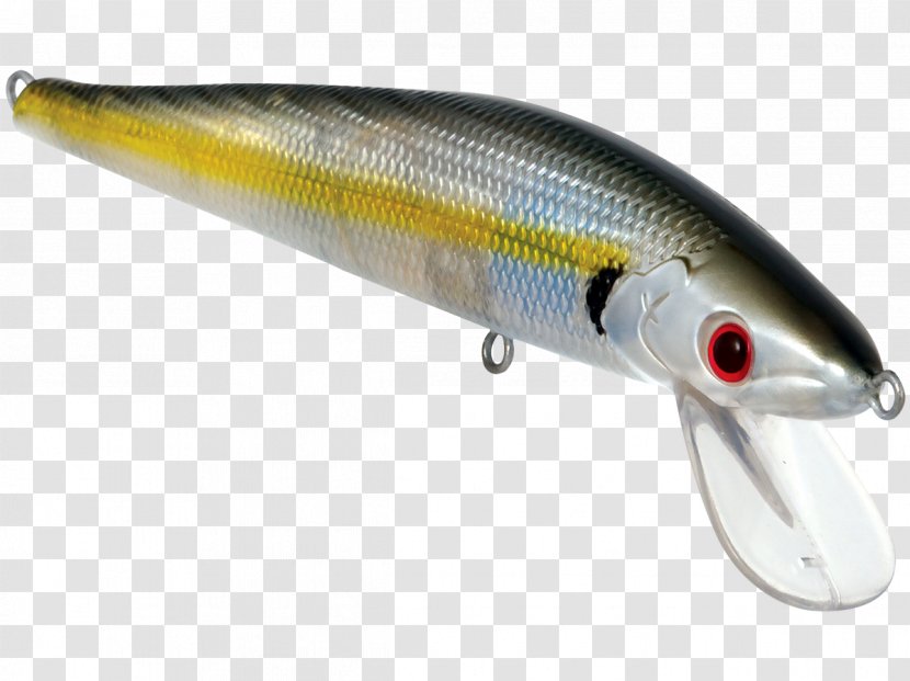 Plug Fishing Baits & Lures Bass - Saltwater Fish Transparent PNG